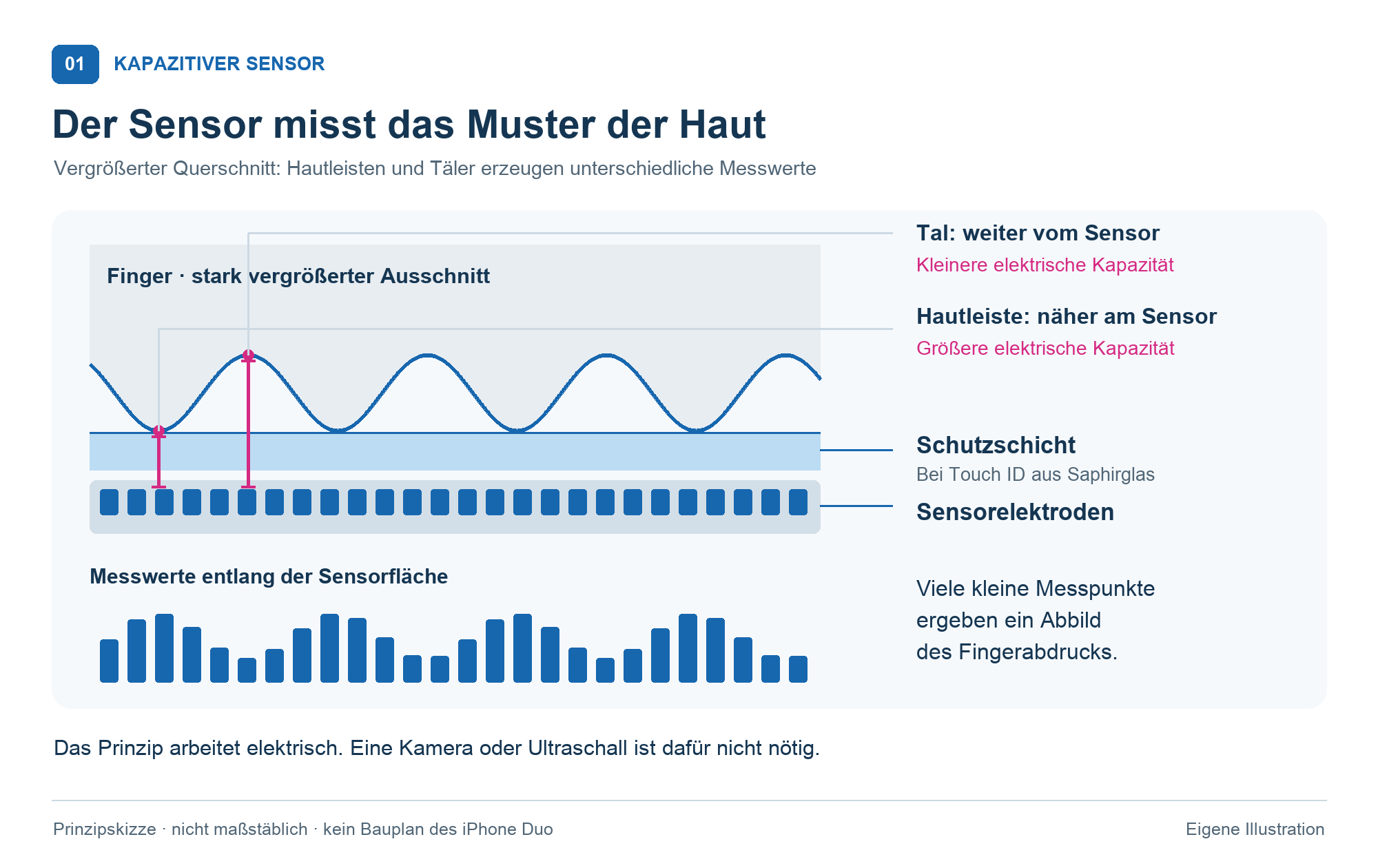 Vergrößerter Querschnitt eines kapazitiven Fingerabdrucksensors. Hautleisten liegen näher an den Elektroden als die Täler und erzeugen größere Kapazitäten. Eine Balkenreihe zeigt schematisch die wechselnden Messwerte.
