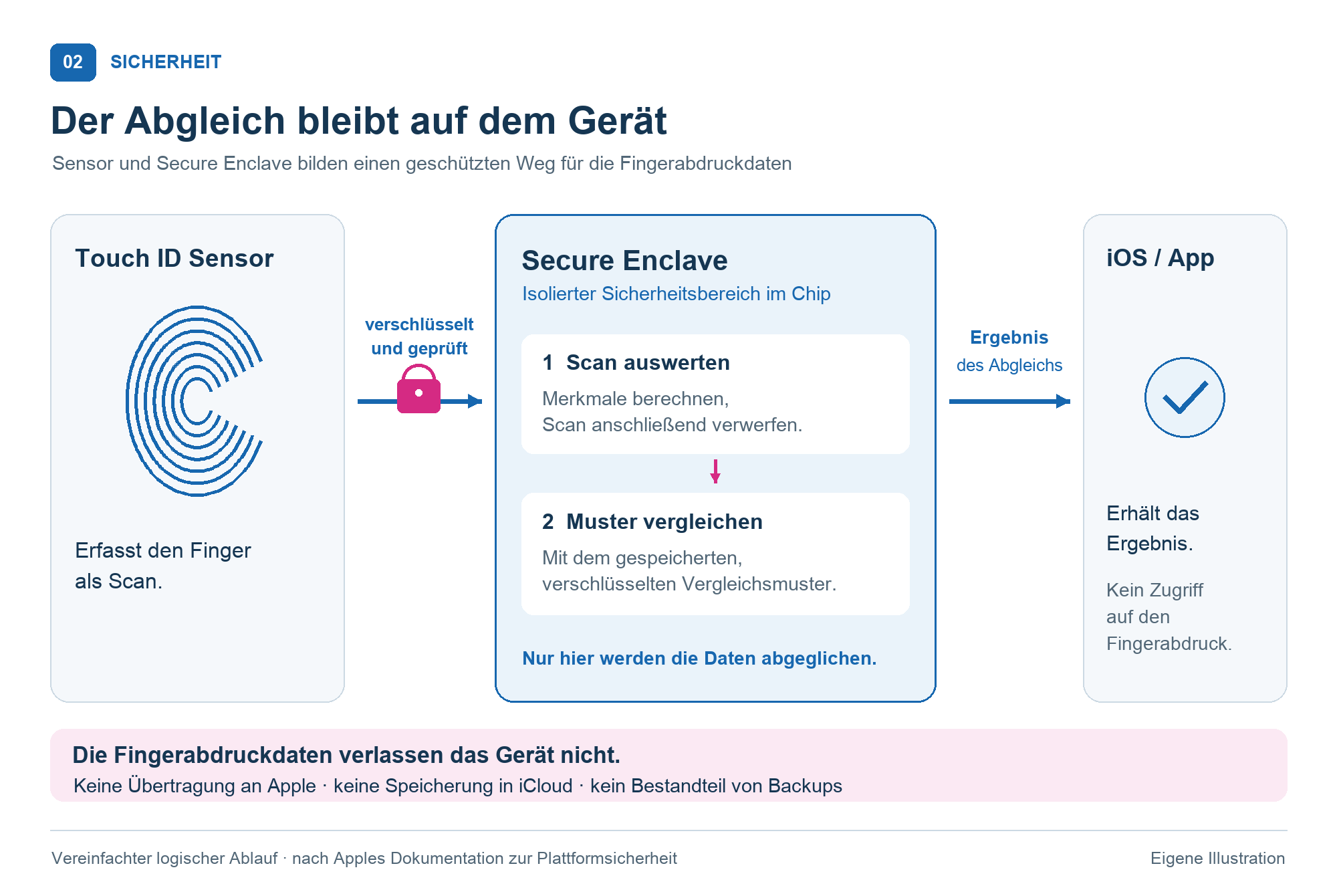 Ablaufdiagramm: Der Touch-ID-Sensor sendet den Scan verschlüsselt an die Secure Enclave. Sie berechnet Merkmale, verwirft den Scan und vergleicht das Muster. iOS und Apps erhalten das Prüfergebnis, aber keine Fingerabdruckdaten.