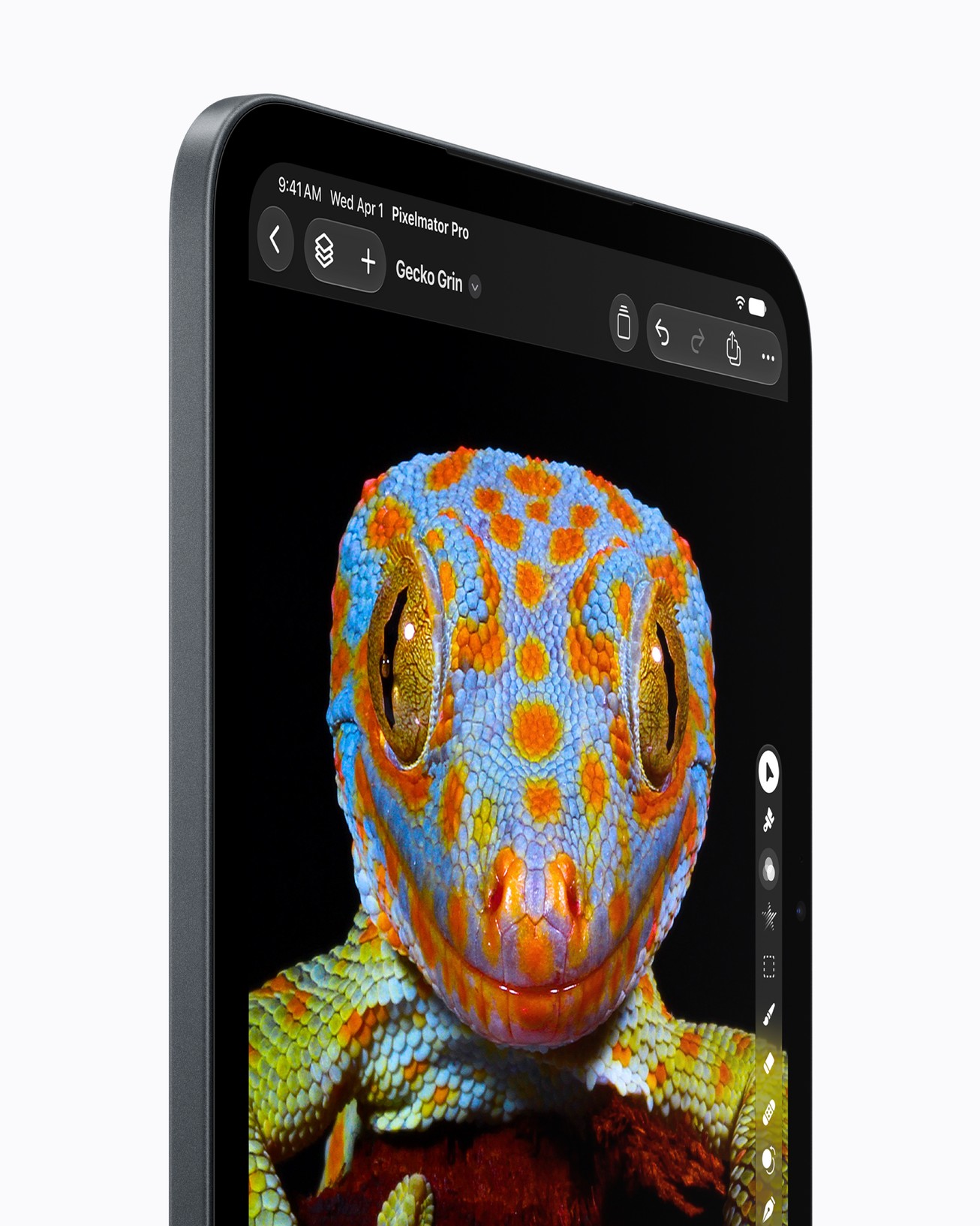 Nahaufnahme des Super Retina XDR Displays auf dem iPad mini mit einem detailreichen Bild eines Geckos.